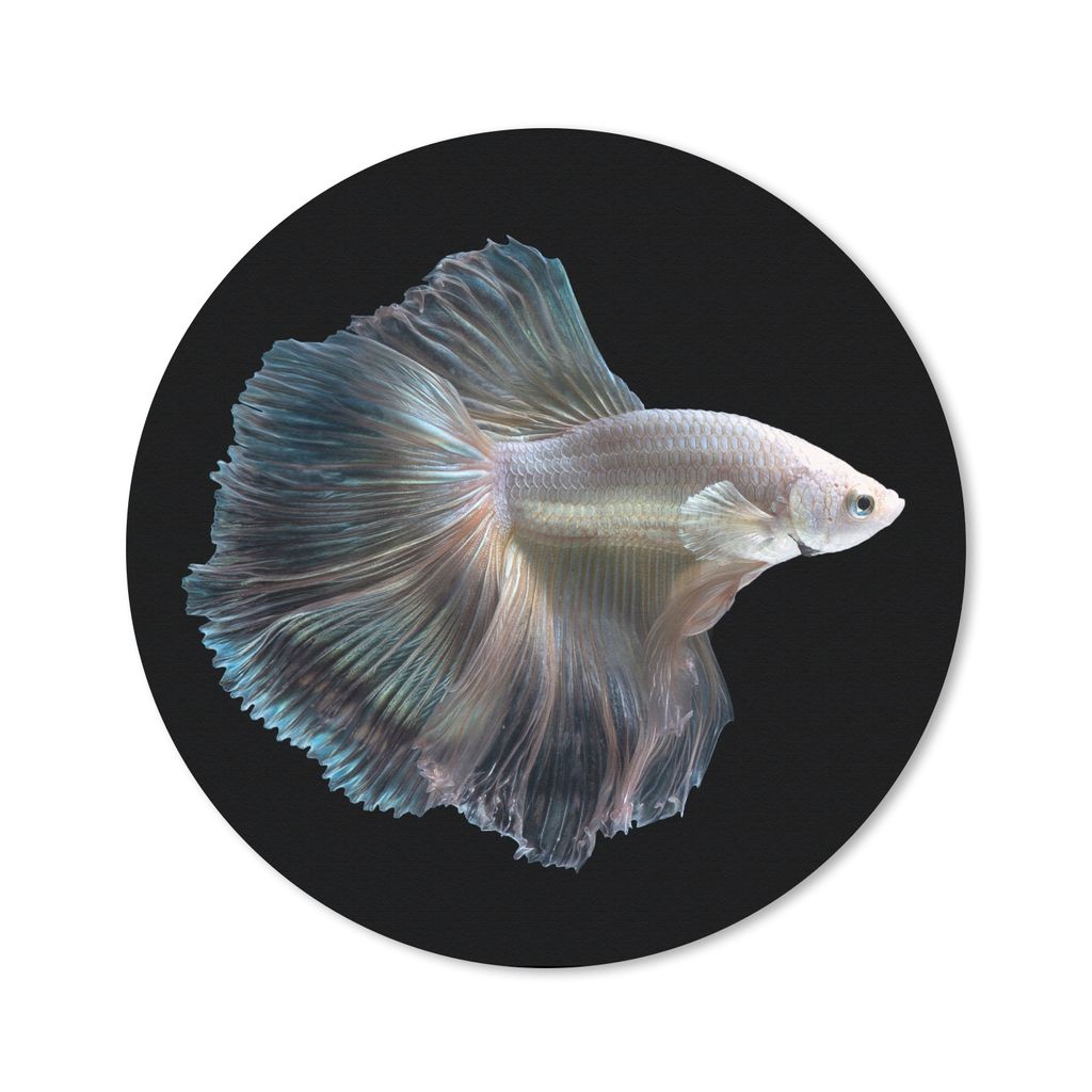 MuchoWow Mauspad Mousepad Fisch - Schwanz - Weiß 40x40 cm - Mousepads - Maus Mat - Pad - Mausunterlage - Schreibtisch Accessoires