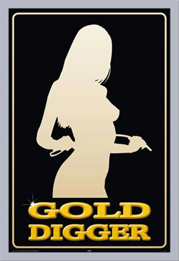 Home Decor: Poster Gold Digger + Cornice Shinsuke Argento 61x91,5