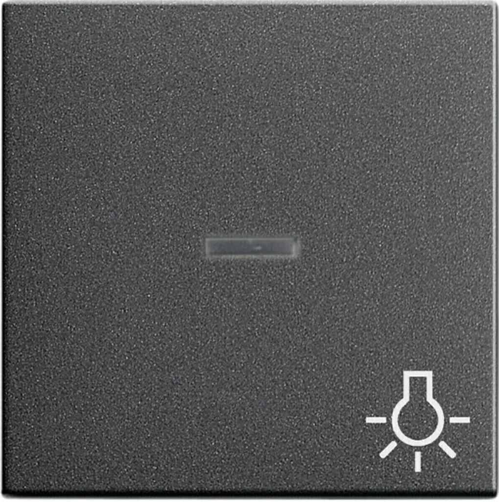 Plaque de recouvrement anthracite 067428 pour lumière de berceau Céliane