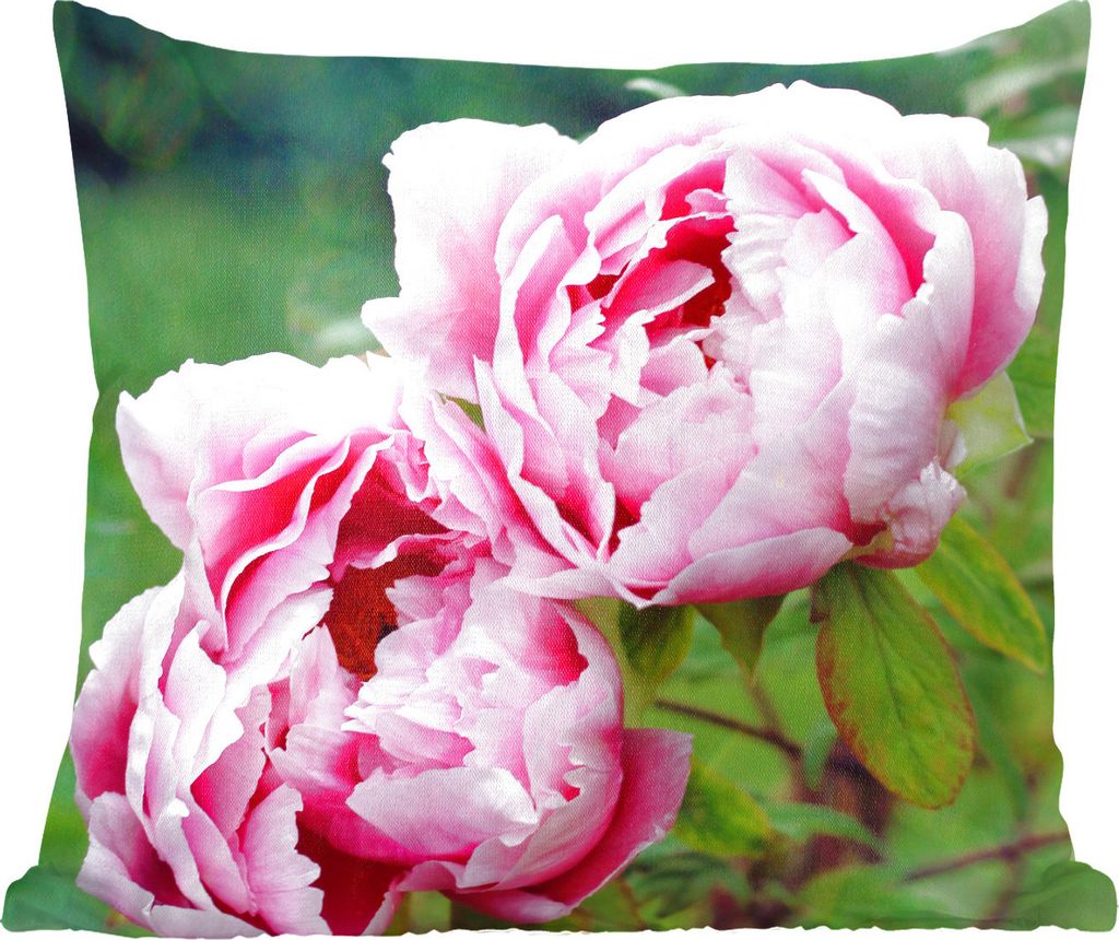 MuchoWow Zierkissen Sofakissen Wohnzimmer Dekokissen 40x40 cm Rosa Pfingstrosen im Garten - Foto Kissen - Schlafzimmer Dekoration