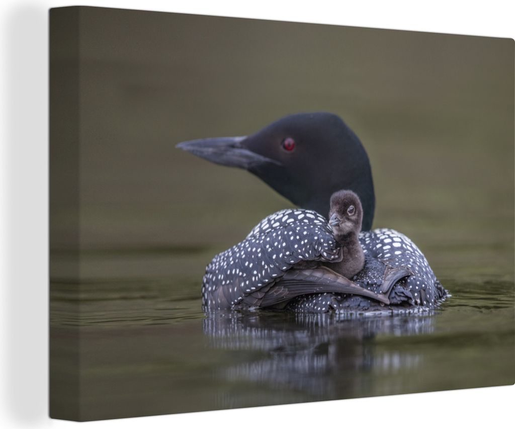 OneMillionCanvasses - Leinwandbilder - 140x90 cm, Ente - Küken - Schwarz, Wandbilder Kunstdruck Wanddekoration