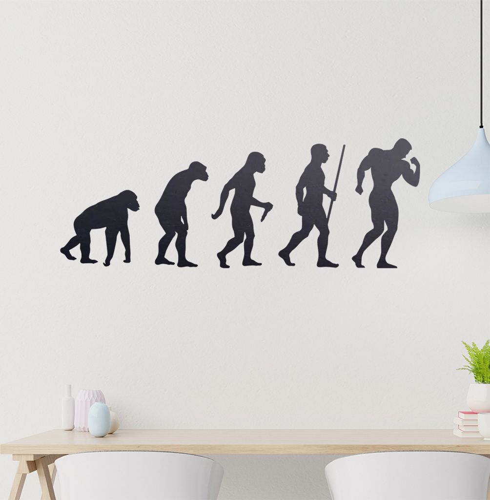 Bodybuilding Evolution Wandtattoo Wandaufkleber Wall Sticker - Dekoration, Küche, Wohnzimmer, Schlafzimmer, Badezimmer