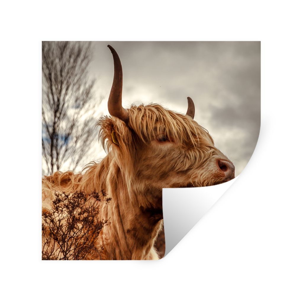 MuchoWow Wandtattoo Wandsticker Wandaufkleber Scottish Highlander - Strauch - Heidekraut 80x80 cm Selbstklebend und Repositionierbar - Wierderver...