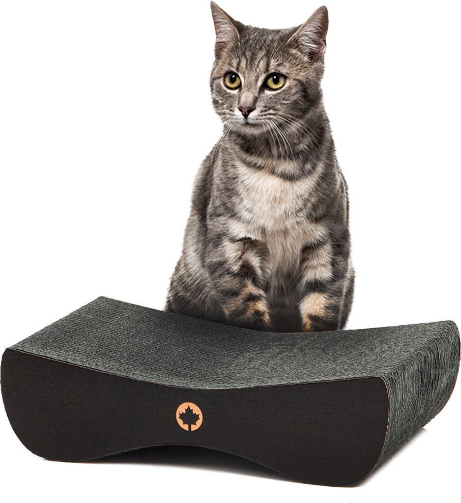 Satellite 2.0. KLEIN | Katzenkratzbaum | Kanadische Katze | SCHWARZE EDITION | Schwarz