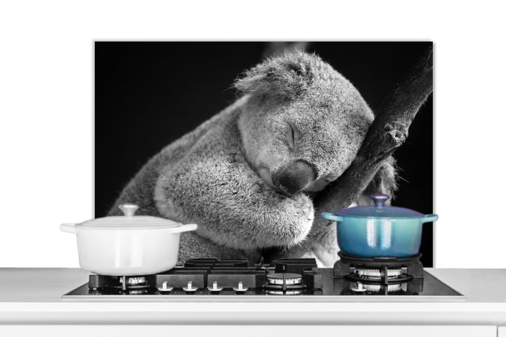 KitchenYeah Spritzschutz Küche - Küchenrückwand - Wandschutz für Herd und Spüle - Schlafender Koala auf schwarzem Hintergrund 90x60 - Alu-Di...