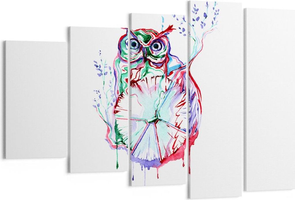 Bild auf Leinwand - Leinwandbild - Eule intelligent Geschöpf Kinder - 150x100cm - Wand Bild - Wanddeko - Leinwanddruck - Bilder - Kunstdruck - Lei...