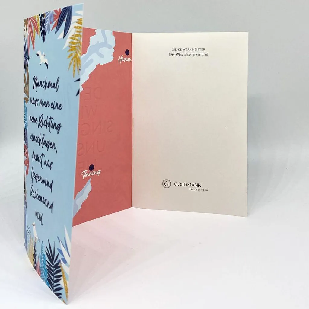 Der Wind singt unser Lied - Édition illustrée avec couverture rigide