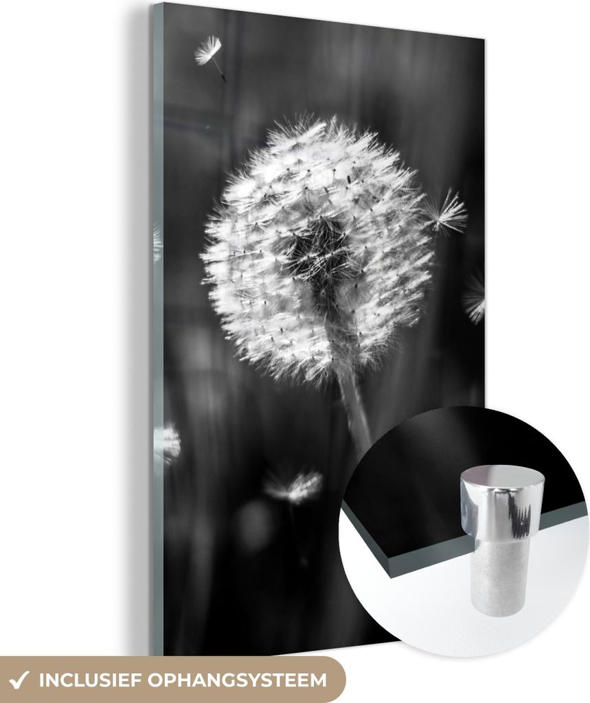 MuchoWow Glasbilder - Bilder auf Wandbild - Foto auf Glas Löwenzahn - Schwarz - Weiß - Pflanze 60x90 cm Wanddekoration aus Glas - Acrylglasbild -...