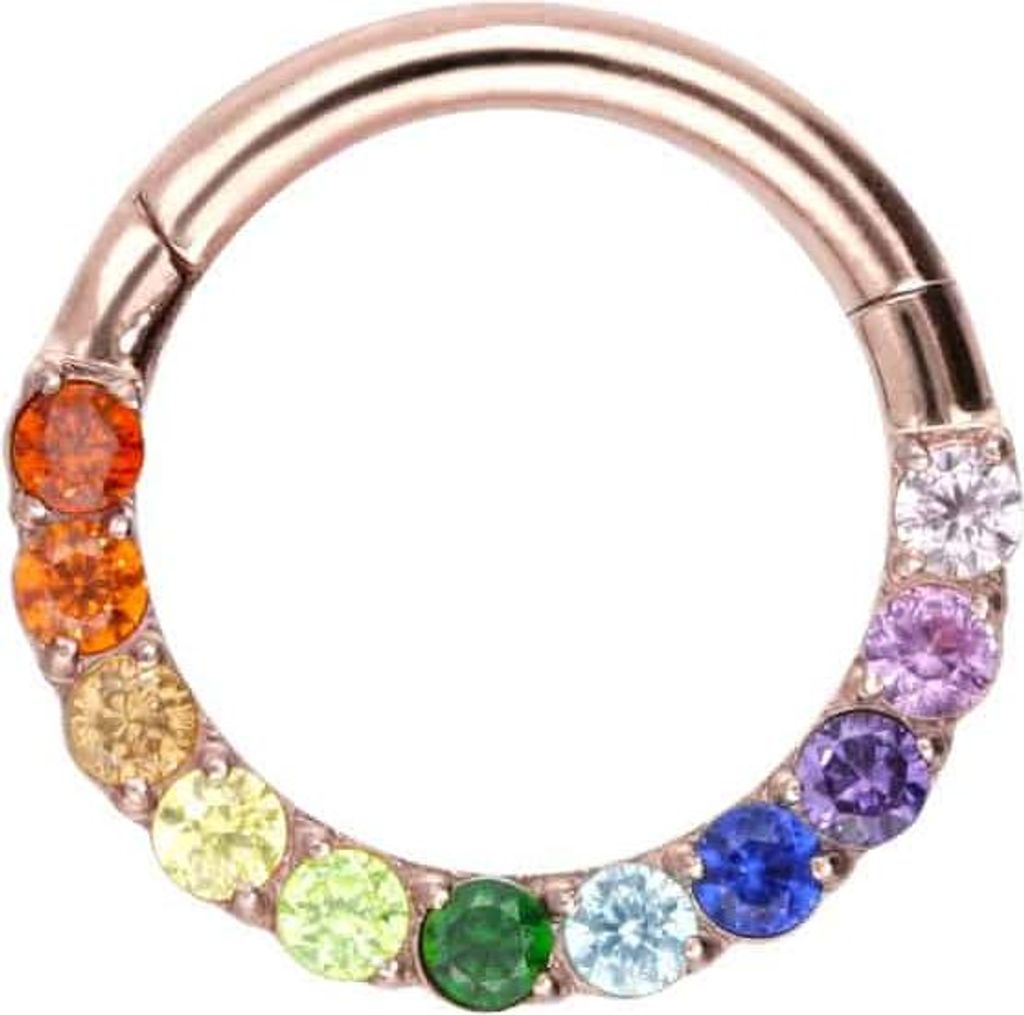 Ohrpiercing, Nasenpiercing, Septum Piercing Titan Segmentring Clicker EINGEFASSTE BUNTE KRISTALLE
