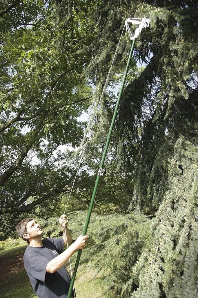 Sécateur télescopique pour élagage des arbres hauts sans échelle au jardin