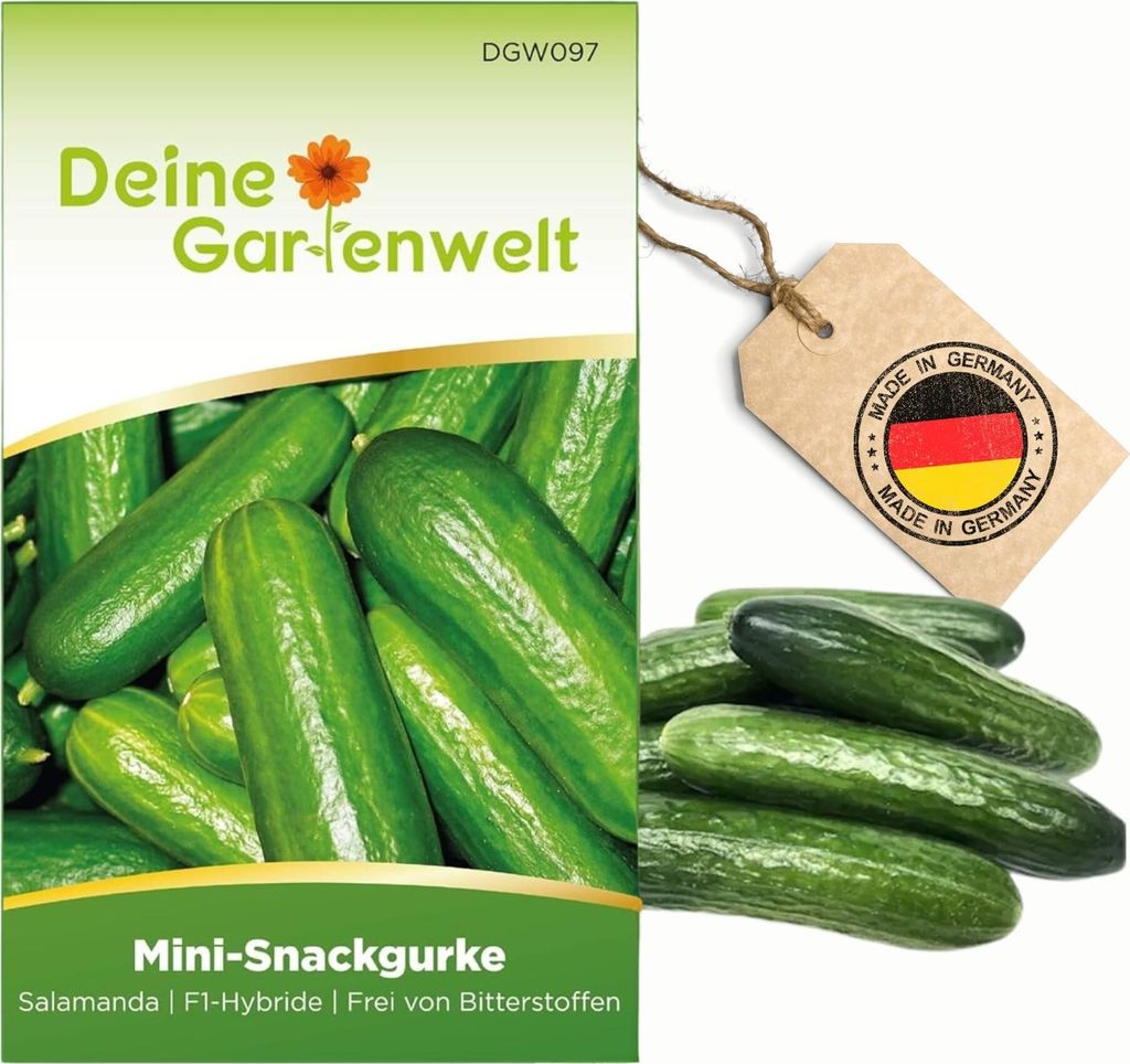 Mini Snackgurke Salamanda F1 Samen - Cucumis sativus - Produktbild 