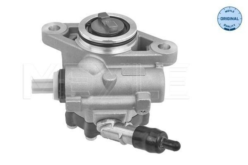 MEYLE 214 631 0005 Servolenkung Pumpe Servopumpe für FIAT Ducato Kastenwagen (250, 290) Hydraulisch