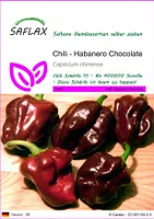 SAFLAX - Chili - Habanero Chocolate - 10 Samen - Capsicum chinense