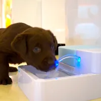 Topchances 1,8L Dog Cat Automatická vodní fontána Pet Fountain LED Automatická fontána na pití vody pro domácí zvířata s uhlíkovým filtrem a cirkulačním dávkovačem vody Pet Pitné fontány