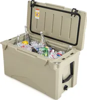 COSTWAY 47L izolovaný chladiaci box prenosný, tepelný kontajner s otváračom fliaš a odtokovým systémom, termobox na prepravu potravín na kempingové pikniky