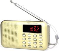 Retekess PR11 Tragbarers Radio, AM FM Kleines Radio mit Lautsprecher, Radio Batteriebetrieben, MP3-Player, Notfall Taschenlampe, LCD Bildschirm(Gold)