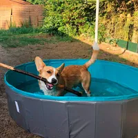 Navaris Hundepool Planschbecken faltbar - Hunde Pool aus Kunststoff - Agility Hundespielzeug - Hundeschwimmbecken - Grau Petrol - versch. Größen