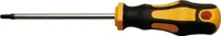 KRAFTMANN 7844-T10 T-Profil-Schraubendreher T10