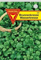 Brunnenkresse