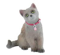 Russisch-Siamese Katze