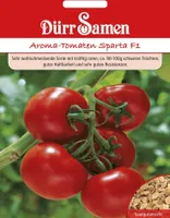 Dürr-Samen - Tomaten Sparta F1 - Saatgut - 4147