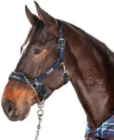 Eskadron Basics Control Halfter Dornschnalle
