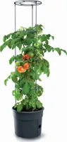 Prosperplast Tomatoes 29.5x29.5x 31.5-153 Cm Blumentopf Grau  Grau One Size