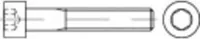 TOOLCRAFT 1062116 Zylinderschrauben M3 35 mm Innensechskant DIN 912 Edelstahl A4 100 St.