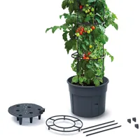 Sadzarka do pomidorów TOMATO GROWER, 39,2 cm, maks. wysokość: 153 cm, antracytowa
