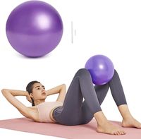 Gymnastický míč Anti-Burst Sport Balance Yoga Ball s pumpou pro Pilates Birth Fitness Gym Workout Training Fyzioterapie Fitness Yoga Ball 25cm, fialový