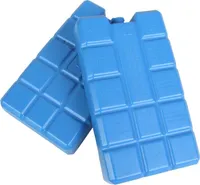 Kühlakkus 2x 400ml für Kühltasche oder Kühlbox Kühlelemente Ice Blocks Icepack