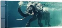 DEQORI Küchenrückwand Glas 125x50 cm 'Schwimmender Elefant' Spritzschutz Bad Rückwand
