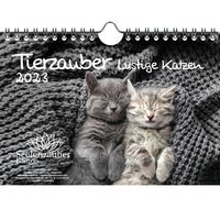 Tierzauber lustige Katzen DIN A5 Wandkalender für 2023 Lustige Momente mit Katzen  - Seelenzauber