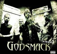 Godsmack - Awake (2 LP)