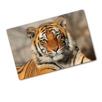 Glas-Herdabdeckplatte Ceranfeldabdeckung 2x40x52 Zweiteilig Bengalischer Tiger 
