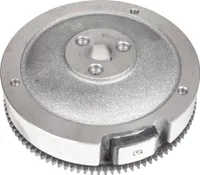 Magnetické koleso motora R420 R440 13510-Z190120-0000