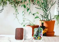 Junglebox Zvuky džungle z teakového dřeva s detektorem pohybu Relaxace