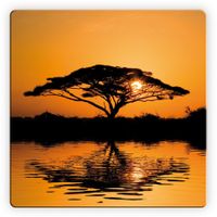 Alenio Glasbild - Africa 50x50