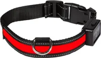 EYENIMAL svítící obojek USB RED - L