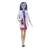 Barbie Kariera zestaw HCN11
