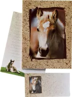 DFW 180344 Briefpapier - Motiv Fohlen, liniert, 10 Umschläge/10 Briefbögen