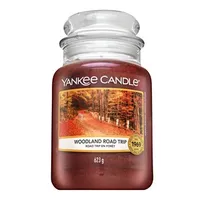 Yankee Candle SCENT OF THE YEAR CLASSIC