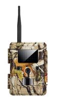 Minox DTC 1100 Wildcamera 5 Megapixel Wildkamera, 5,08 cm (2 Zoll) Display, HD-Video, NO, wasserabweisendes Gehäuse