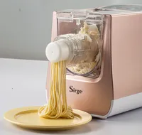 Maszyna do robienia świeżego makaronu 300 W do 900 g makaronu - 22 matryce do WSZYSTKICH rodzajów mąki, nawet bezglutenowej