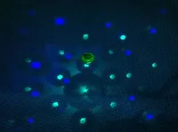 Steinbach LED-Unterwasser Lichtshow