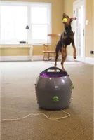 PetSafe Automatischer Ballwerfer für Haustiere 9 m Grau und Lila