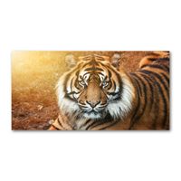 Glasbilder 100x50 Wandbild Druck auf Glas Tiger Tiere 