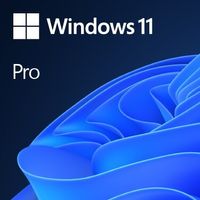 Microsoft Windows 11 Pro OEM - Erstausrüster (OEM) - Deutsch - 1 Lizenz(en) - 64 GB - 4,1 TB - 1000 GHz