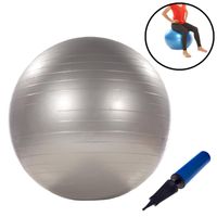 Gymnastikball 75cm inkl. Handpumpe in silber Fitnessball Sportball Yogaball Sitzball Bürostuhl Balanceball Pilates Yoga