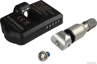 Radsensor Reifendruck-Kont Rollsystem